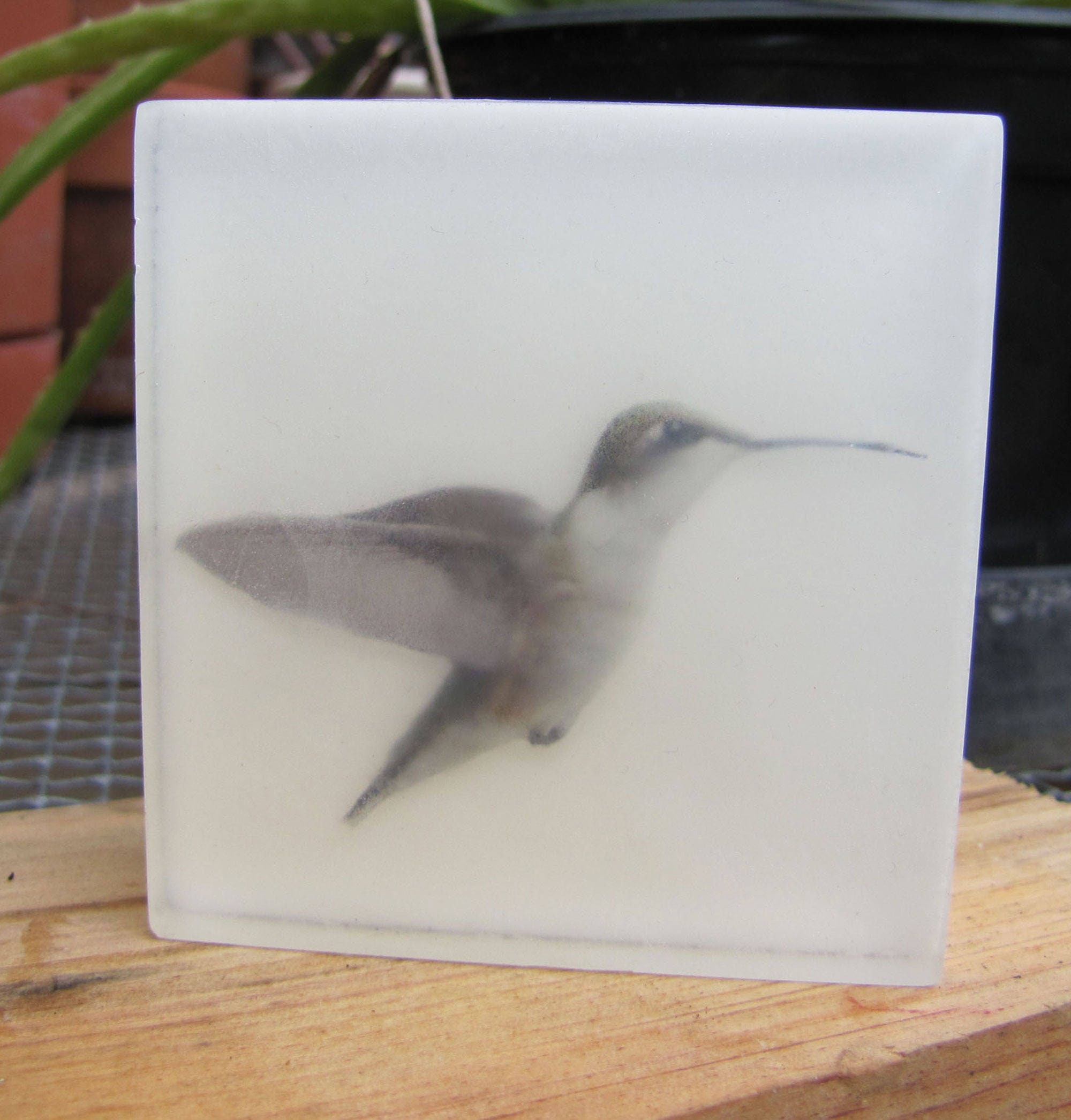 Hummingbird Glycerin Soap – Organic & Vegan Luxury
