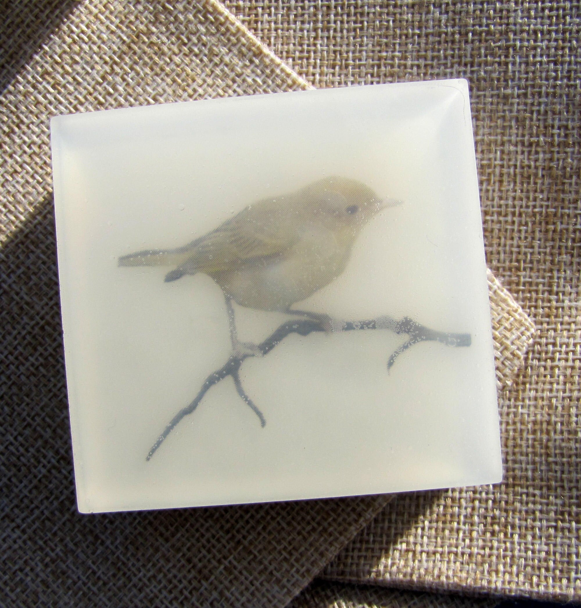 Blackpoll Warbler Glycerin Soap – Vegan & Gentle Cleanser
