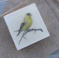 Yellow Finch Soap – Organic & Vegan Bird-Inspired Art