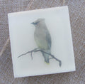 Cedar Waxwing Glycerin Soap: Organic Vegan Bird Art