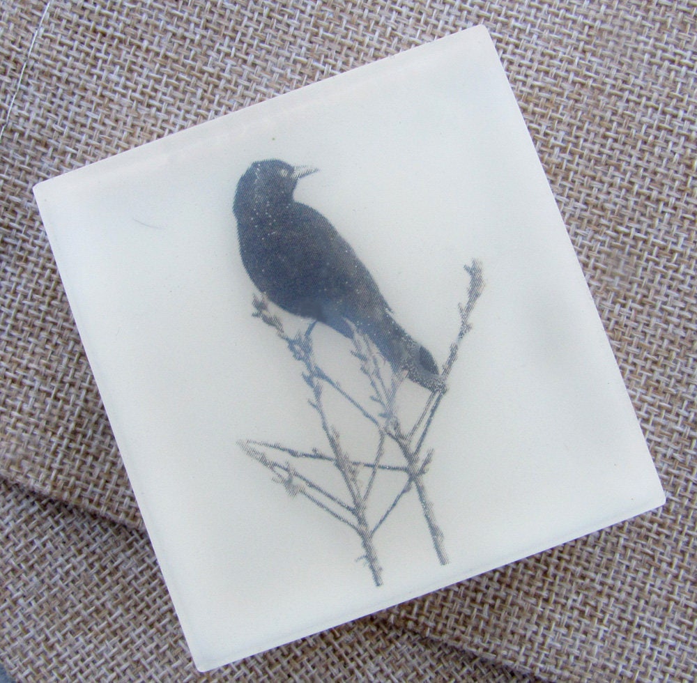 All Natural Glycerin Soap - The Blackbird